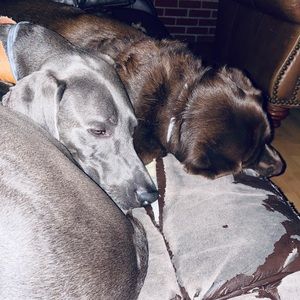 Meet your Posher, Jacky